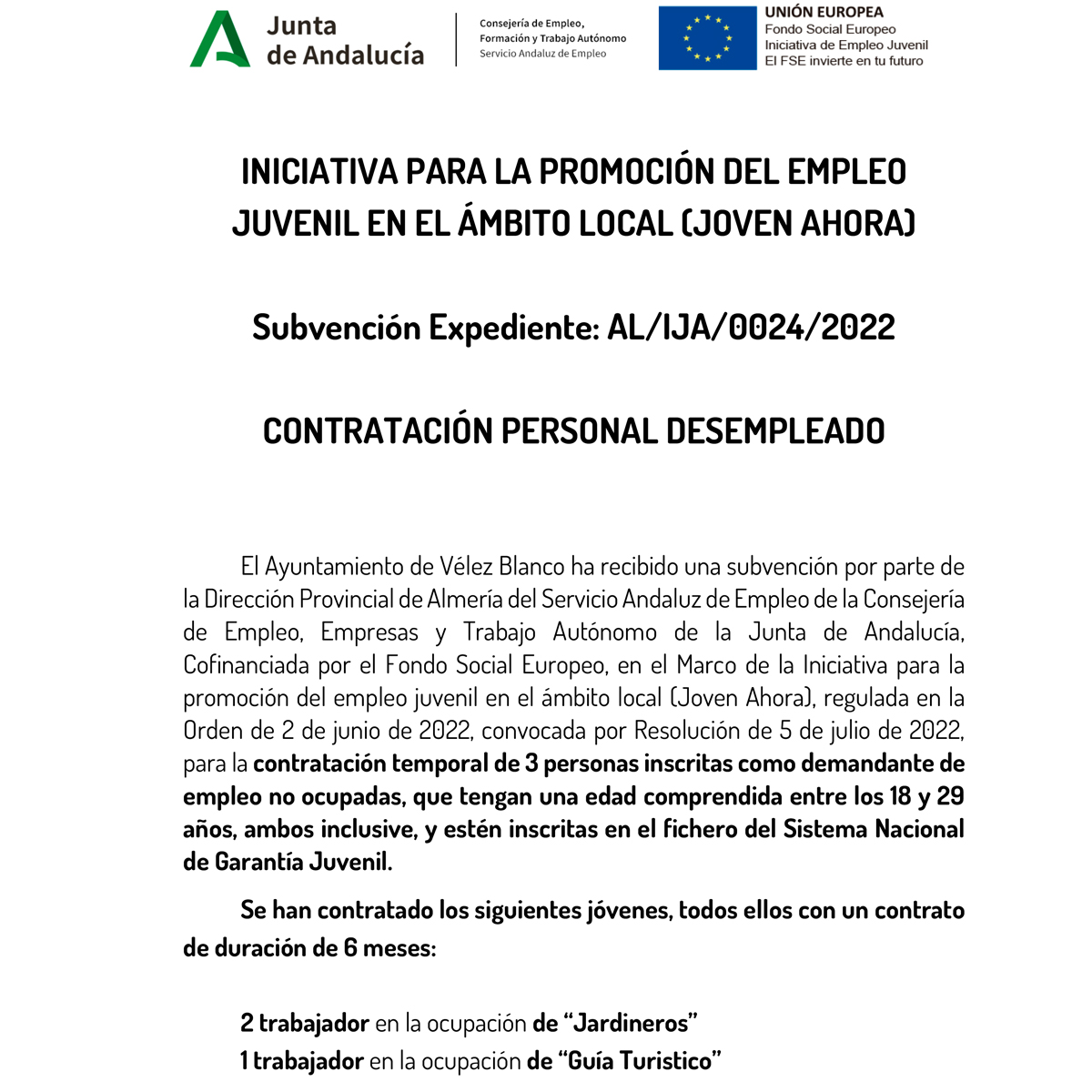 INICIATIVA PARA LA PROMOCIÓN DEL EMPLEO JUVENIL EN EL ÁMBITO LOCAL (JOVEN AHORA)